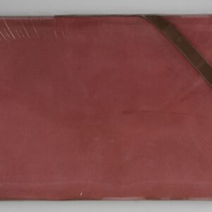 Almohadilla Dorador sin Protección